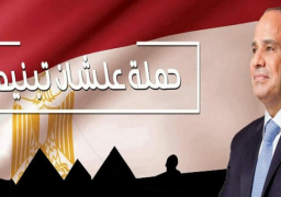 علشان تبنيها تبدأ جولة بالإمارات لدعم السيسى فى الانتخابات الرئاسية