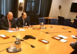 وزير الخارجية يدعو نظيره القبرصى بالإسراع فى إجراءات مد أنبوب غاز بين البلدين