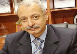 مصر تؤكد أهمية الاستفادة من خبرات اليابان في “الإحصاء”
