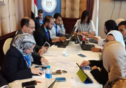 وزارة الهجرة تنشر حصاد الانتخابات الرئاسية بالخارج بعد انتهاء التصويت