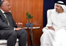اليوم.. وزير الخارجية يبحث مع نظيره الاماراتي قضايا المنطقة