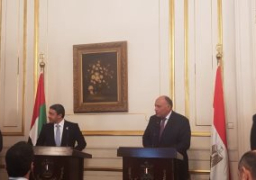 وزير خارجية الإمارات: الرباعى العربى متمسك بنهجه إذا تمسكت قطر بسلوكها