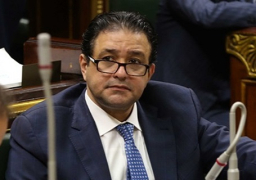 وفد برلماني وحقوقي يزور لندن لمتابعة قضية الطالبة مريم