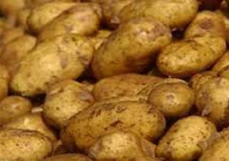 “التجارة” تنفي حظر روسيا إستيراد البطاطس المصرية