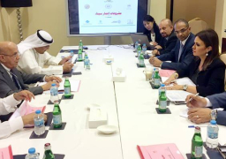 خلال لقاءها رؤساء صناديق التمويل العربية .. سحر نصر : حريصون على تسريع وتيرة العمل لتنمية سيناء