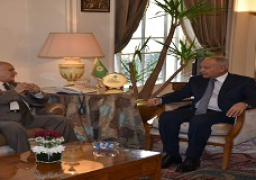 أبو الغيط يؤكد أهمية تعزيز الجهود العربية في قطاع الطاقة