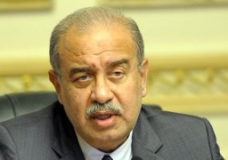 رئيس الوزراء يبحث تطوير شركتى المصرية والجمهورية للأدوية