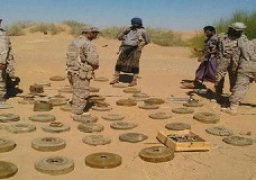 الجيش اليمني ينزع 300 ألف لغم خلال عامين