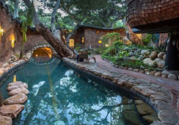 “بيت الحيتان” واحدٌ مِن “المنازل المُذهلة” في أمريكا