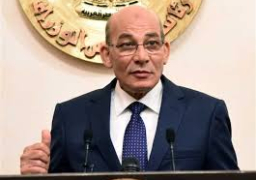 وزير الزراعة يبحث مع الوفد “الأفريقي للثروة الحيوانية” تعظيم الاستفادة من بحوث الثروة السمكية