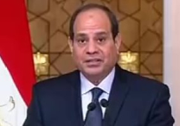 السيسي لرئيس البرتغال: مصر تكافح الإرهاب باستراتيجية أمنية وثقافية