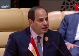 السيسى يندد بالتدخل الدولى فى الأراضى العربية