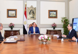 السيسي يستعرض موقف مشروعات الكهرباء والربط مع دول الجوار
