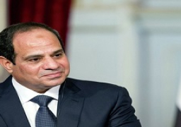 السيسي يوجه بسرعة الانتهاء من مشروع الصوامع والشون الحديثة