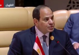 السيسى: نحتاج استراتيجية شاملة للأمن القومى وإعادة تأسيس العلاقات مع الجيران