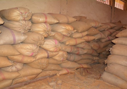 توريد 24901 طن قمح و688 كيلو لشون وصوامع سوهاج