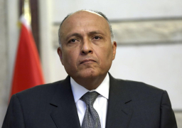 وزير الخارجية يترأس وفد مصر بالقمة الاستثنائية لمنظمة التعاون الإسلامي في اسطنبول