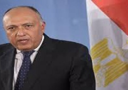 شكري يبحث مع وزير سعودي العلاقات الثنائية والأوضاع بالمنطقة