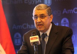 وزير الكهرباء يبحث مع ممثلي شركتين صينيتين الاستفادة من قدرات مزرعة بنبان العملاقة للطاقة الشمسية