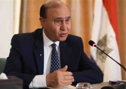 الفريق مميش يبحث مع مجموعة كندية ضخ استثمارات بمحور قناة السويس