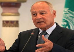 أبوالغيط يطالب بتحقيق دولي ذي صدقية في جرائم الاحتلال