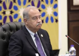 رئيس الوزراء يلتقى وزير الطاقة والسياحة القبرصى لبحث سبل التعاون المشترك