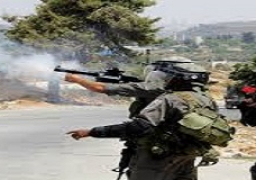 الإحتلال يعتقل فلسطينبين اثنين تسللا لمستوطنة بنابلس