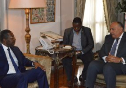 وزير الخارجية يبحث مع رئيس الجمعية الوطنية البوركينى التعاون ضد الإرهاب