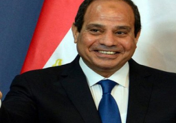 الرئيس السيسى: أمنياتى للبطل محمد صلاح بالشفاء العاجل