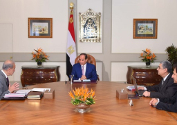 السيسي يتابع جهود تطوير قطاع الكهرباء ومشروع الضبعة والربط الكهربائي