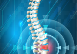 النخاع العظمى منتج خلايا الدم ومخزن للدهون