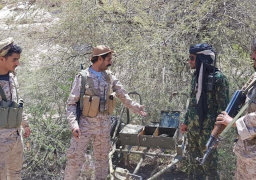 اليمن .. تعزيزات للساحل الغربي وتدميرؤ