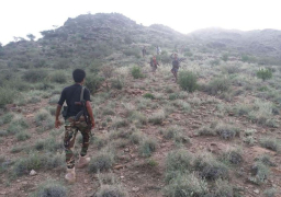 الجيش اليمني يسيطر على جبل العويد الاستراتيجي غرب تعز