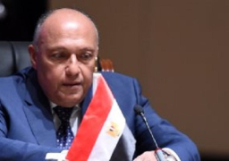 بدء أعمال القمة الإسلامية لدعم فلسطين فى تركيا بمشاركة وزير الخارجية