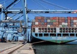 تداول 29 سفينة بموانئ بورسعيد