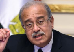 مصر توقع اتفاقية تعاون مع الآلية الأفريقية لمراجعة النظراء