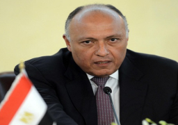 شكري: القدس عاصمة فلسطين.. ونقل أي سفارة إليها باطل