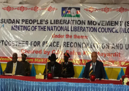 شكري: مصر تدعم حل أزمة جنوب السودان في الإطار الوطني