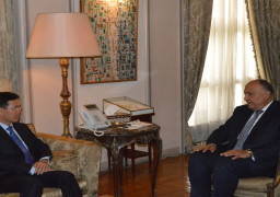 شكري يبحث التعاون الثنائي مع رئيس لجنة بالحزب الشيوعي الفيتنامي