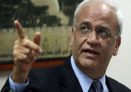 عريقات يطالب مجلس الأمن بإدانة جرائم إسرائيل وتوفير الحماية الدولية للفلسطينيين