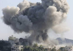 قصف واشتباكات بين القوات الحكومية وداعش في البادية السورية