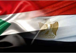 مباحثات مصرية – سودانية بين شكري والدرديري بالقاهرة اليوم