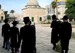 مستوطنون يهود يقتحمون الأقصى بحراسة مشددة من شرطة الاحتلال