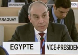 مصر تدين استخدام القوة ضد المسيرات السلمية الفلسطينية