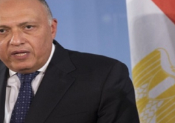 وزير الخارجية في أديس أبابا للمشاركة في الاجتماعات التمهيدية للقمة الأفريقية