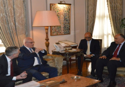 وزير الخارجية يستقبل زعيم الأغلبية بالبرلمان الألماني