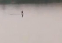 فيديو يظهر جفاف نهر دجلة بعد ملء خزان سد “إليسو” التركى