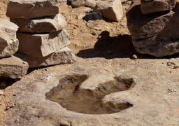 اكتشاف 300 حفرية لآثار أقدام ديناصورات تعود إلى 120 مليون عام بالصين