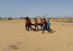 إصابة 4 فلسطينيين برصاص الاحتلال على حدود غزة