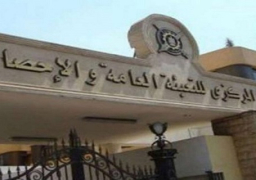 “الإحصاء”: 11.5 % زيادة في متوسط الأجر خلال 2017